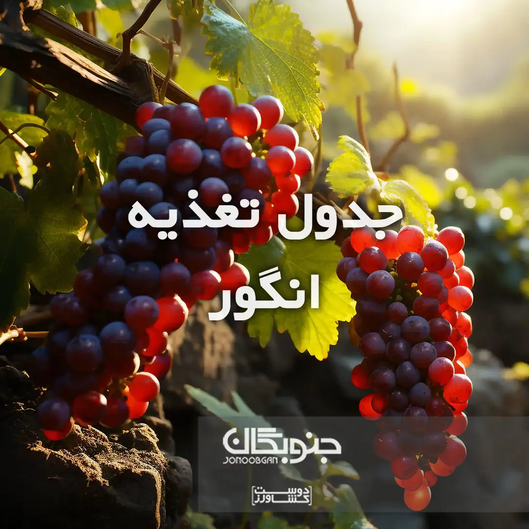 جدول تغذیه انگور جنوبگان