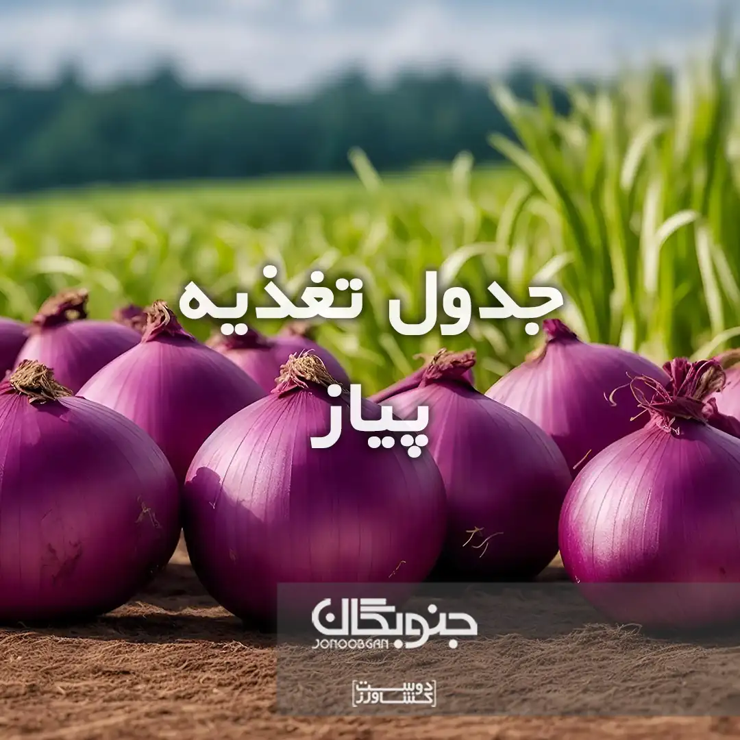 جدول تغذیه پیاز جنوبگان