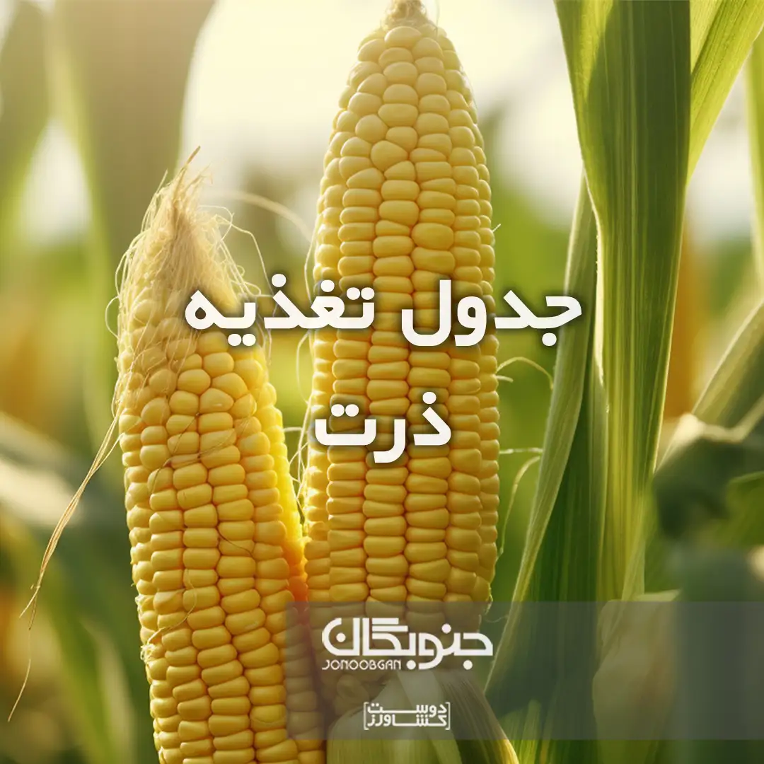جدول تغذیه ذرت جنوبگان
