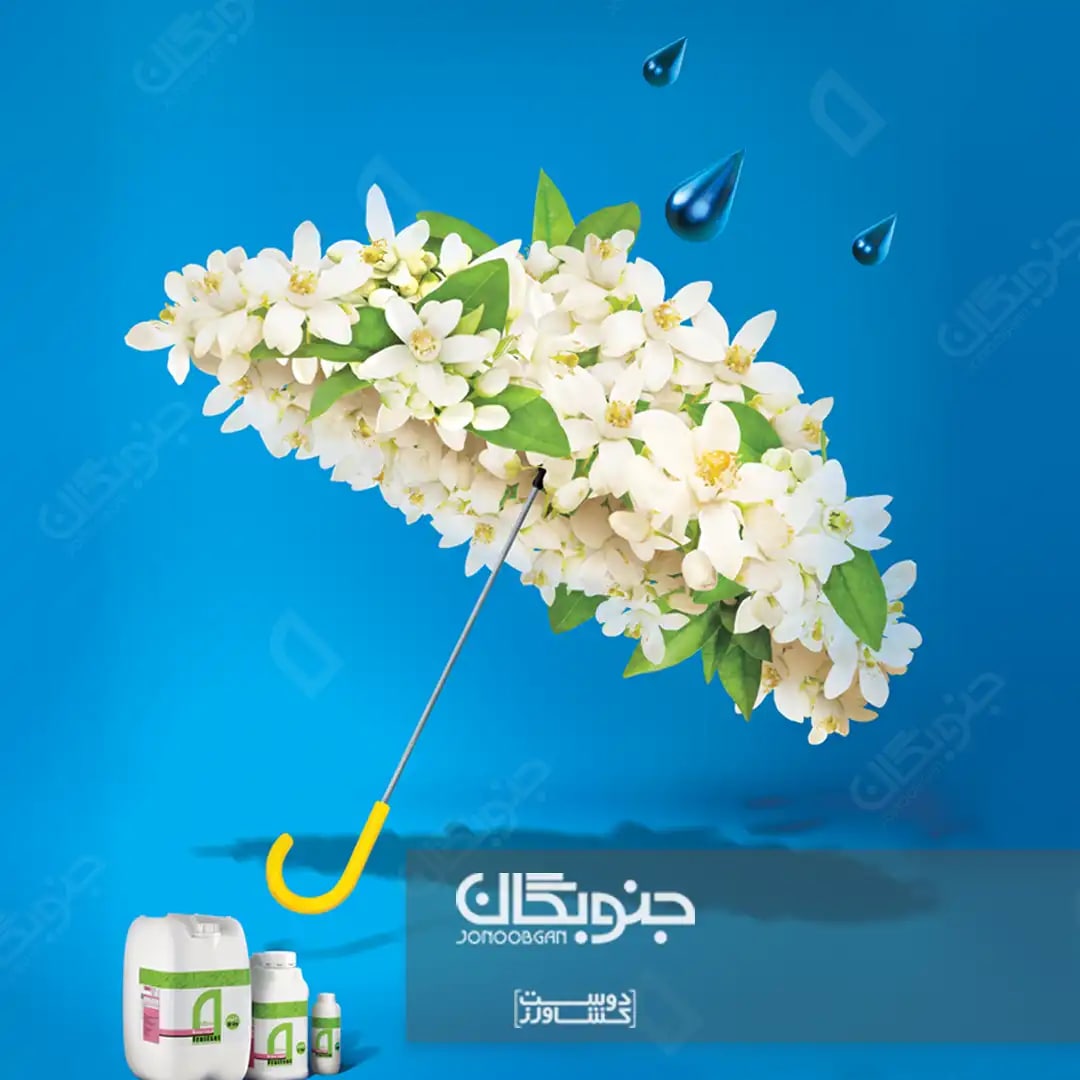 نقش ازت ( N ) در تشکیل میوه