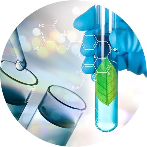 Laboratory