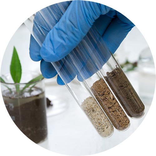 Soil sample