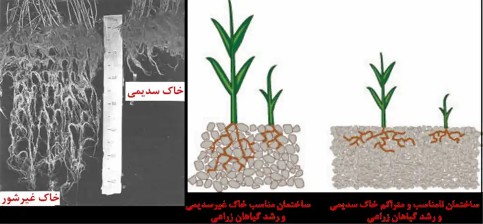 شوری حاک 3