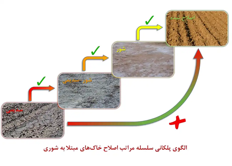 شوری خاک 6
