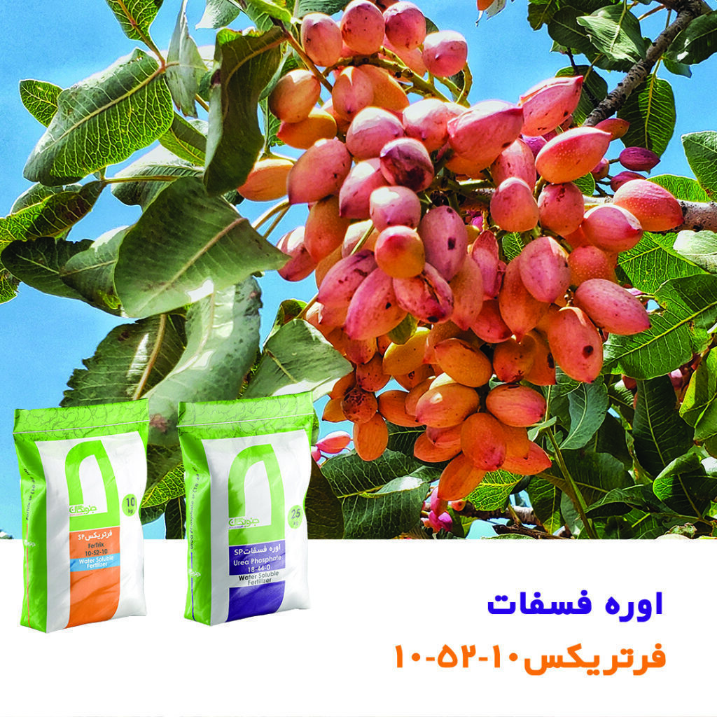 اوره فسفات و 10-52-10
