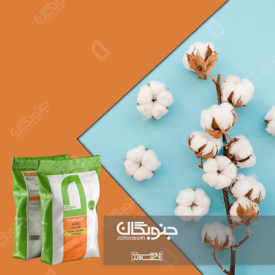 فواید عنصر پتاسیم در مزارع پنبه