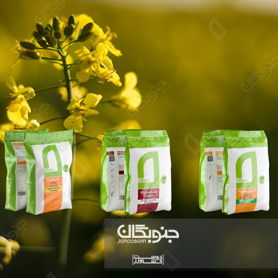 جلوگیری از خوابیدگی ساقه کلزا