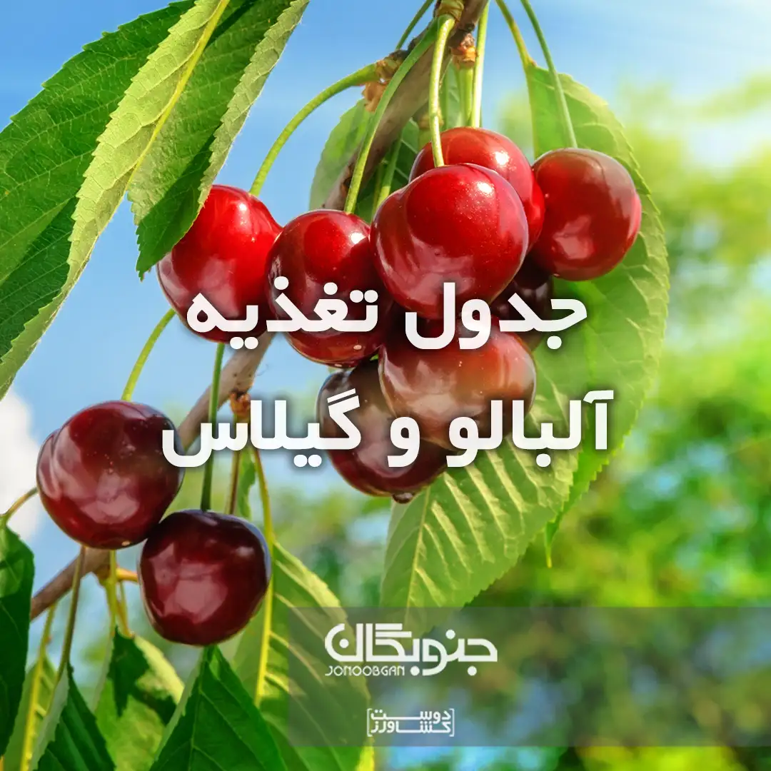 جدول تغذیه آلبالو و گیلاس جنوبگان