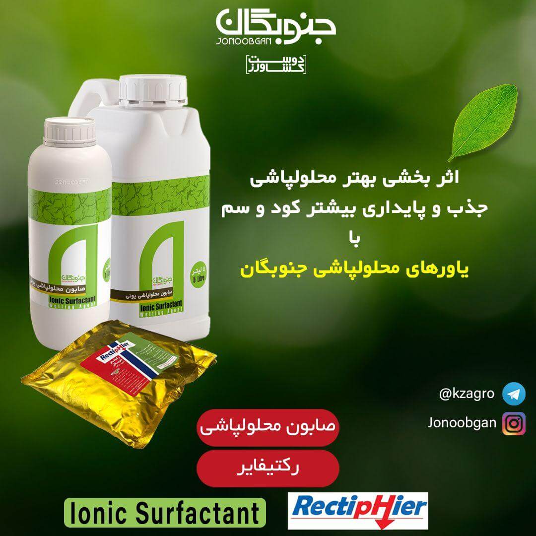 صابون و رکتیفایر