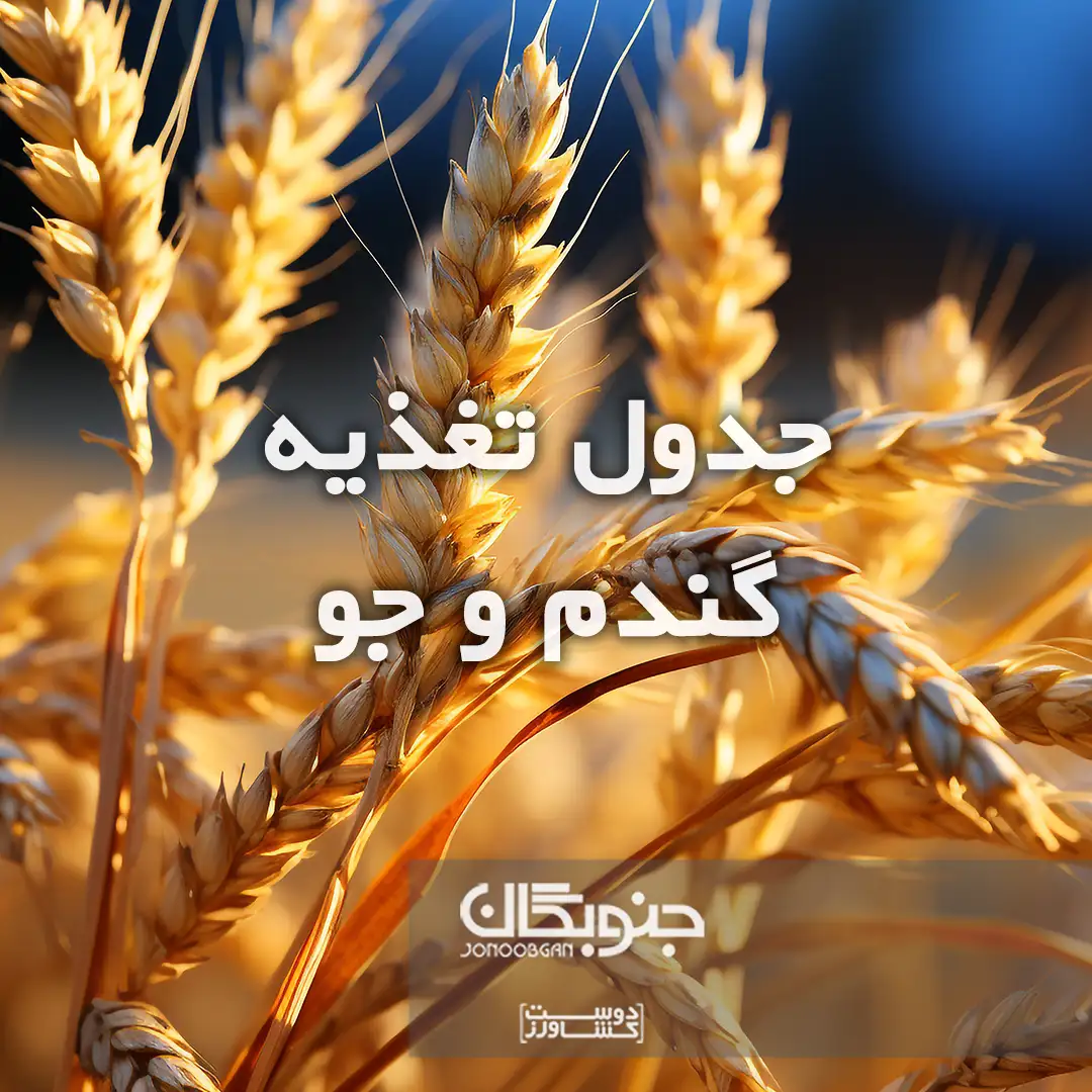 جدول تغذیه گندم و جو جنوبگان
