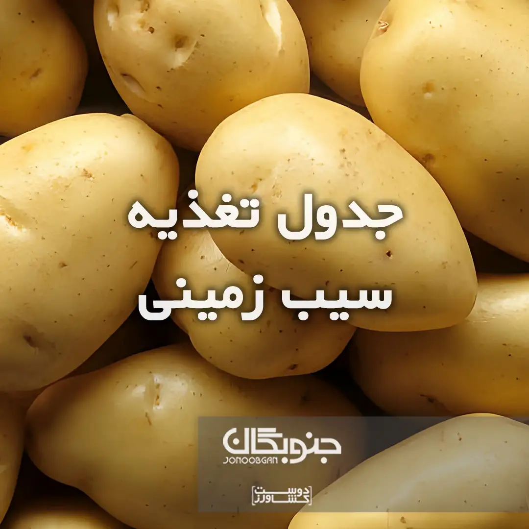 جدول تغذیه سیب زمینی جنوبگان