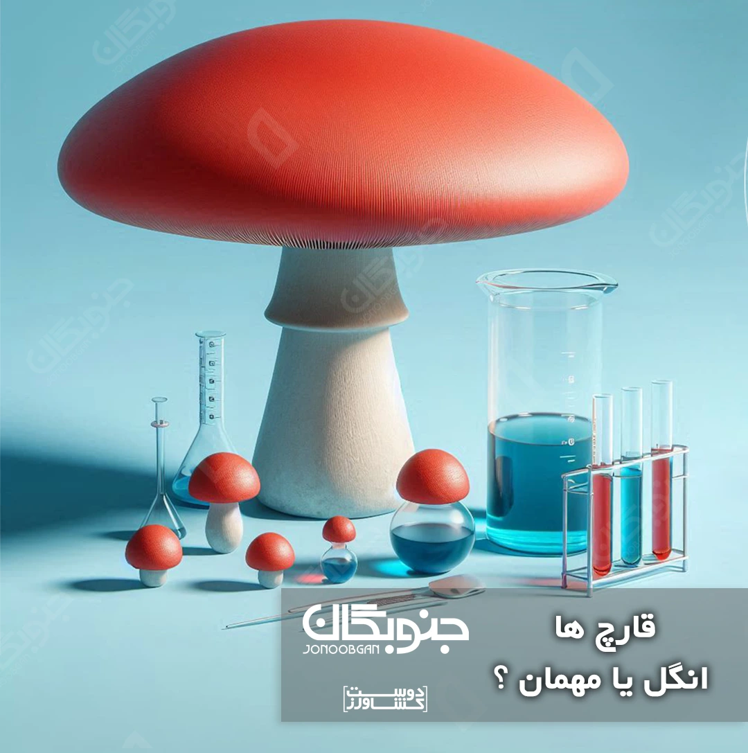 اخبار دنیای کشاورزی جنوبگان، قارچ ها، انگل یا مهمان