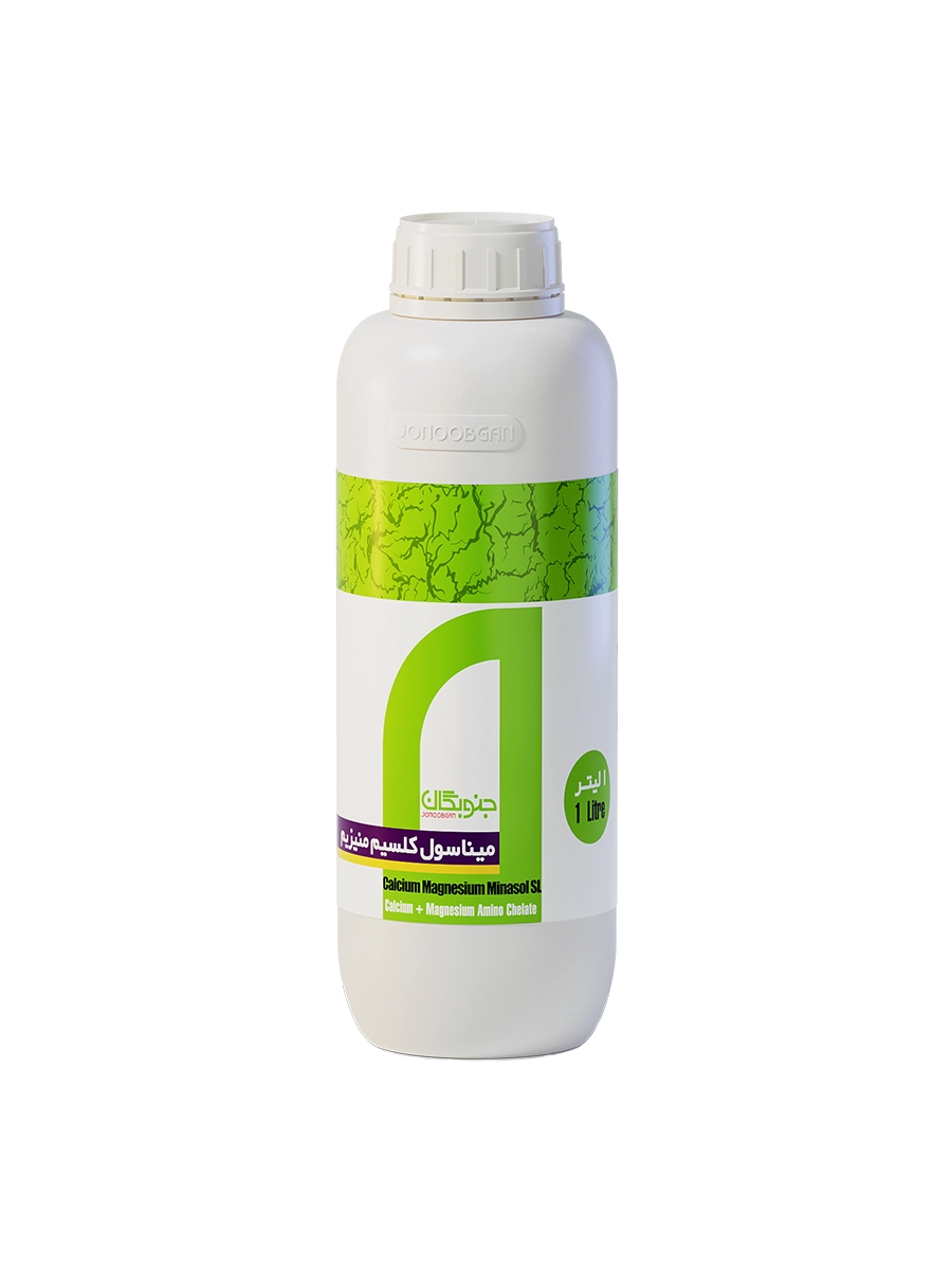 Calcium Magnesium Minasol SL (Calcium magnesium aminocholate)