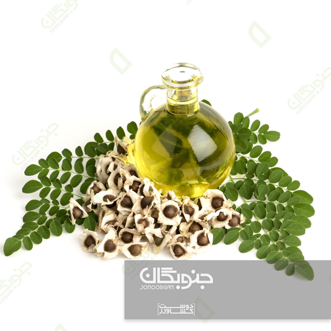 درخت معجزه، مورینگا