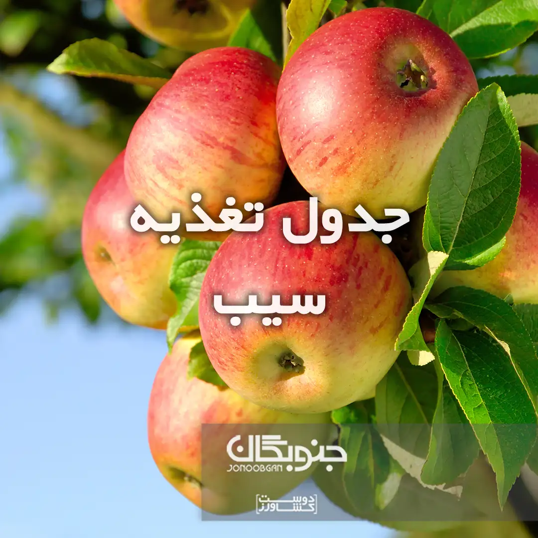 جدول تغذیه سیب جنوبگان
