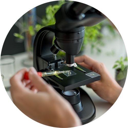Leaf analysis
