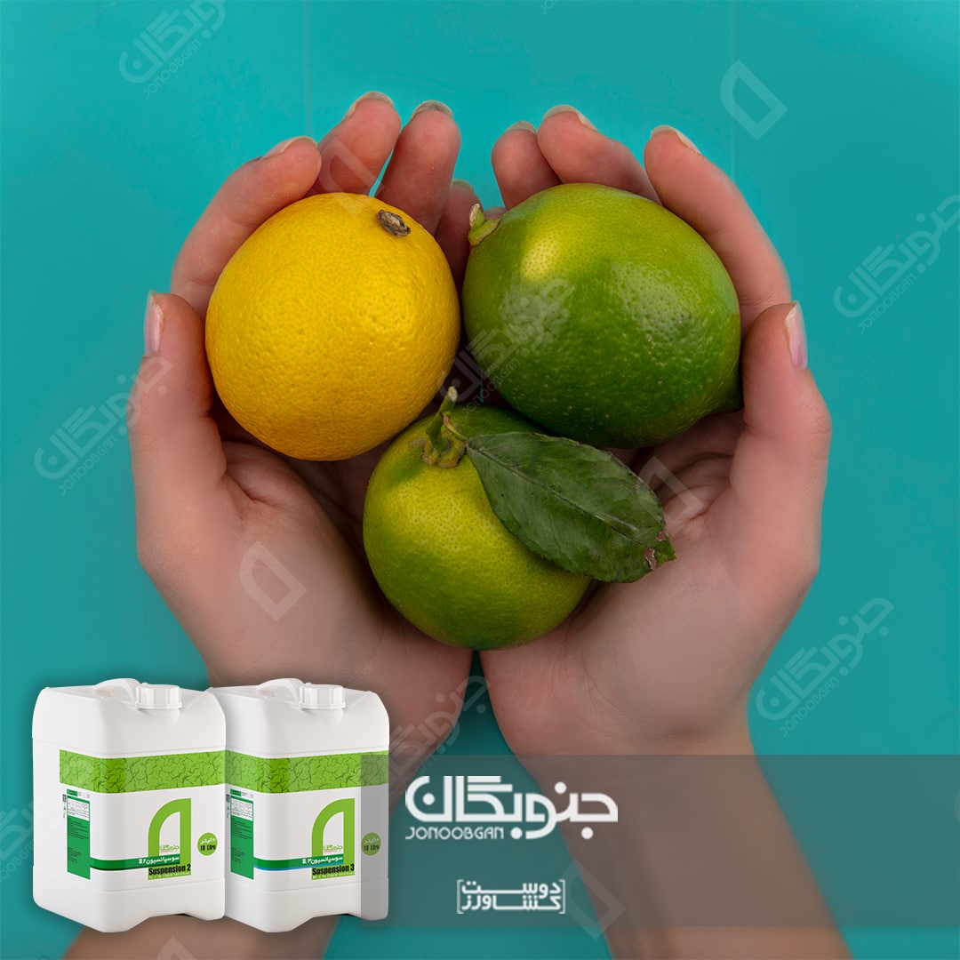 اهمیت ریزمغذی ها در مرکبات