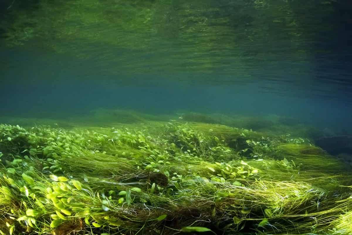 Water Testing