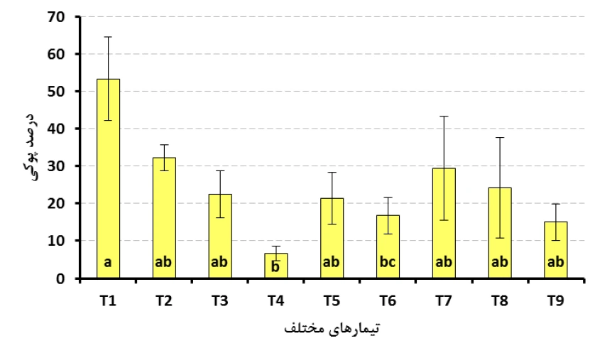 نمودار ۶: درصد پوكی دانه‌های پسته در تيمارهای مختلفحروف متفاوت در ستونها نشانگر اختلاف معنی‌دار (آزمون توكی در سطح ۵ درصد) است