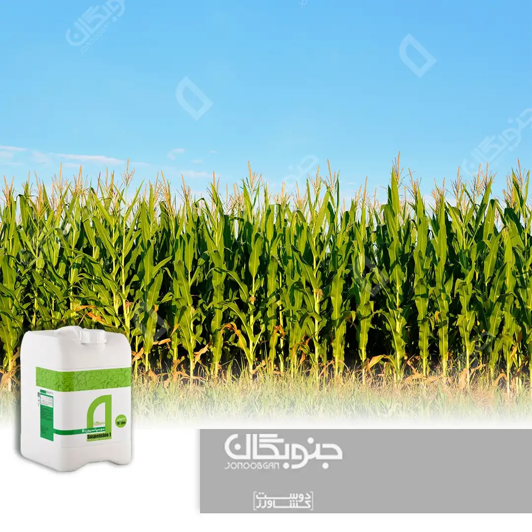 آیا با تاثیرات فوق العاده سوسپانسیون های جنوبگان در محصولات زراعی آشنایی دارید؟