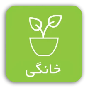 خانگی