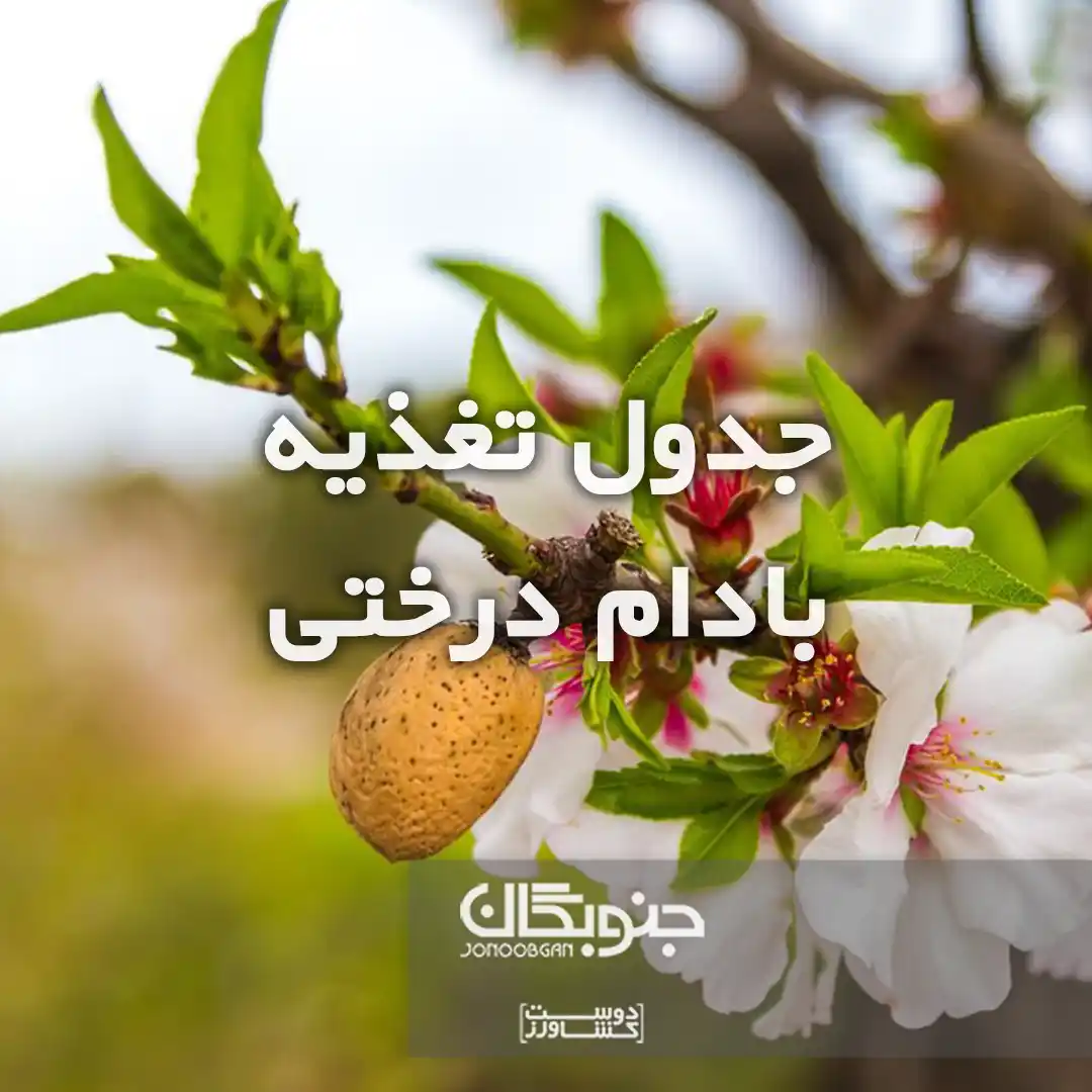 جدول تغذیه بادام درختی جنوبگان