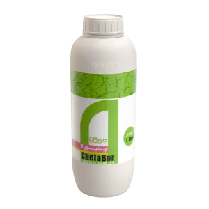 چلابور جنوبگان