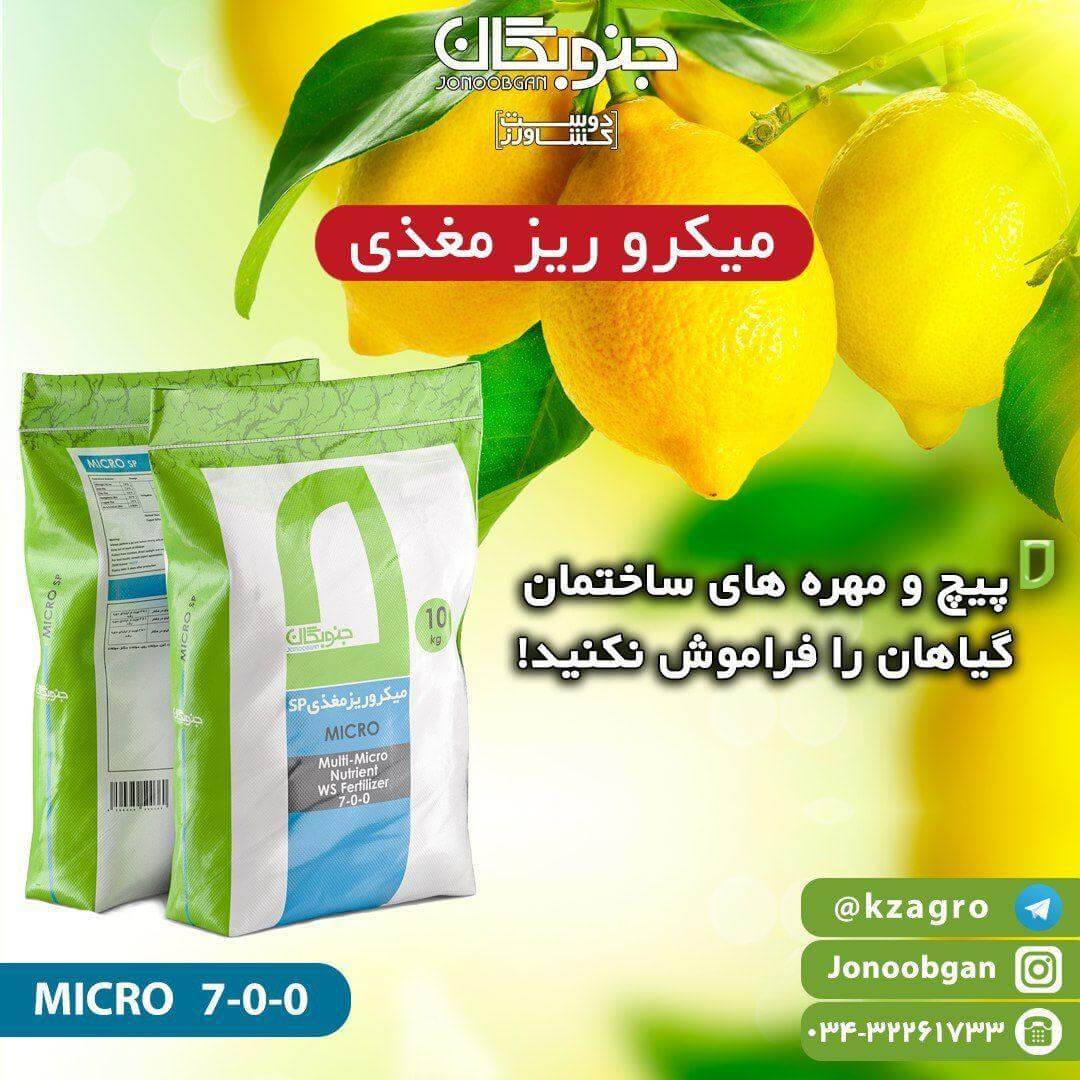 چرا عناصر ریزمغذی نظیر آهن از اهمیت بسیار بالایی در باغات انار برخوردارند؟