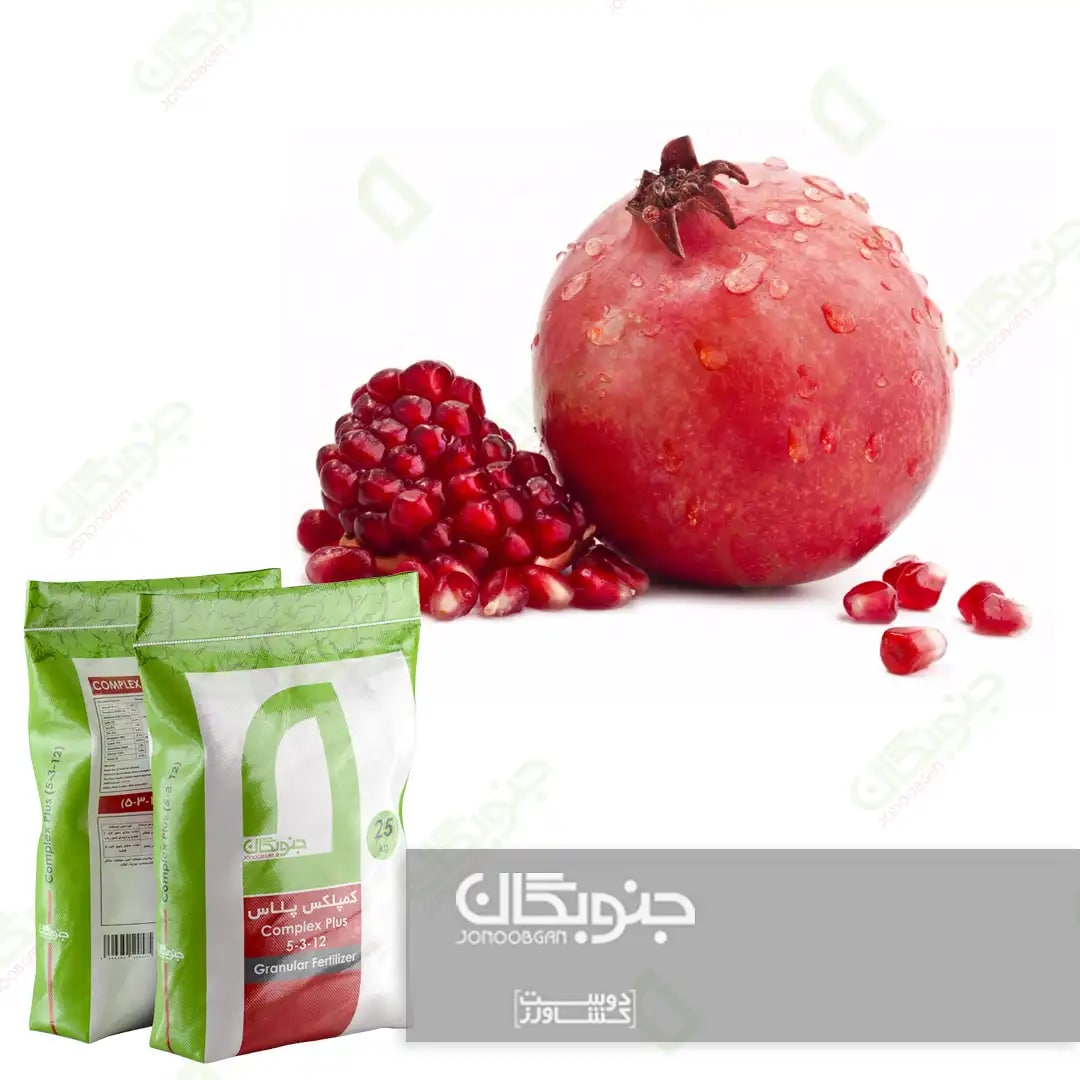 گلچینی از آنتی اکسیدان ها، انار