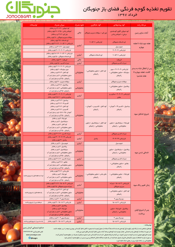 تقویم تغذیه گوجه فرنگی فضای باز جنوبگان