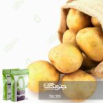 لزوم مصرف کلسیم در سیب زمینی و ارزش آن