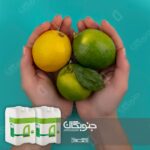 اهمیت ریزمغذی ها در مرکبات