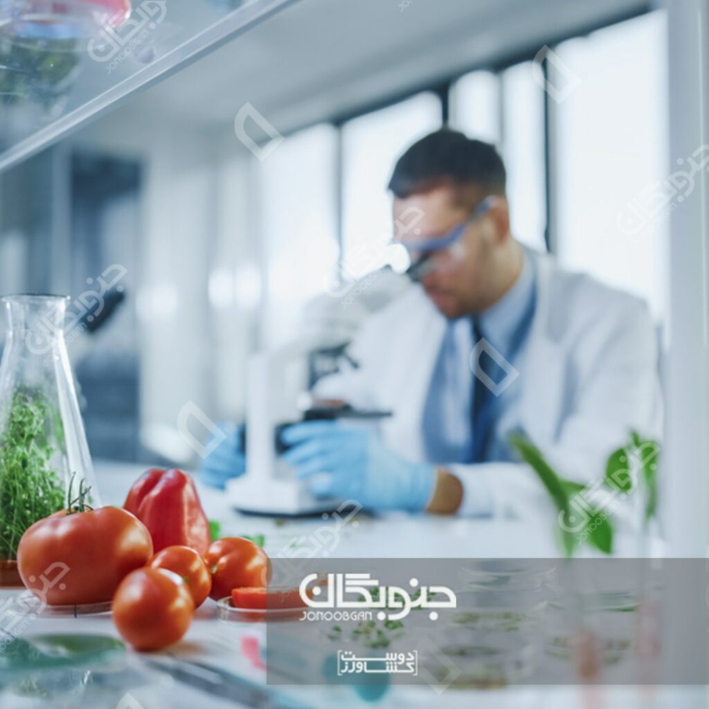 چرا استفاده از کودهای شیمیایی برای تغذیه بشر اهمیت دارد؟