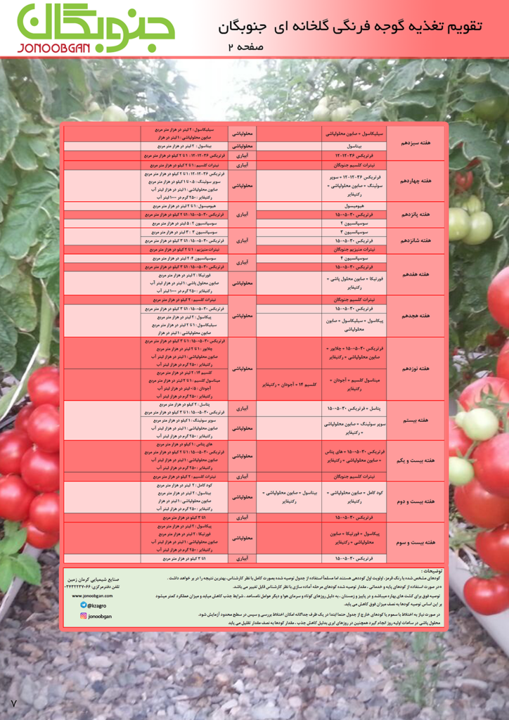 تقویم تغذیه گوجه فرنگی گلخانه ای صفحه 2 جنوبگان