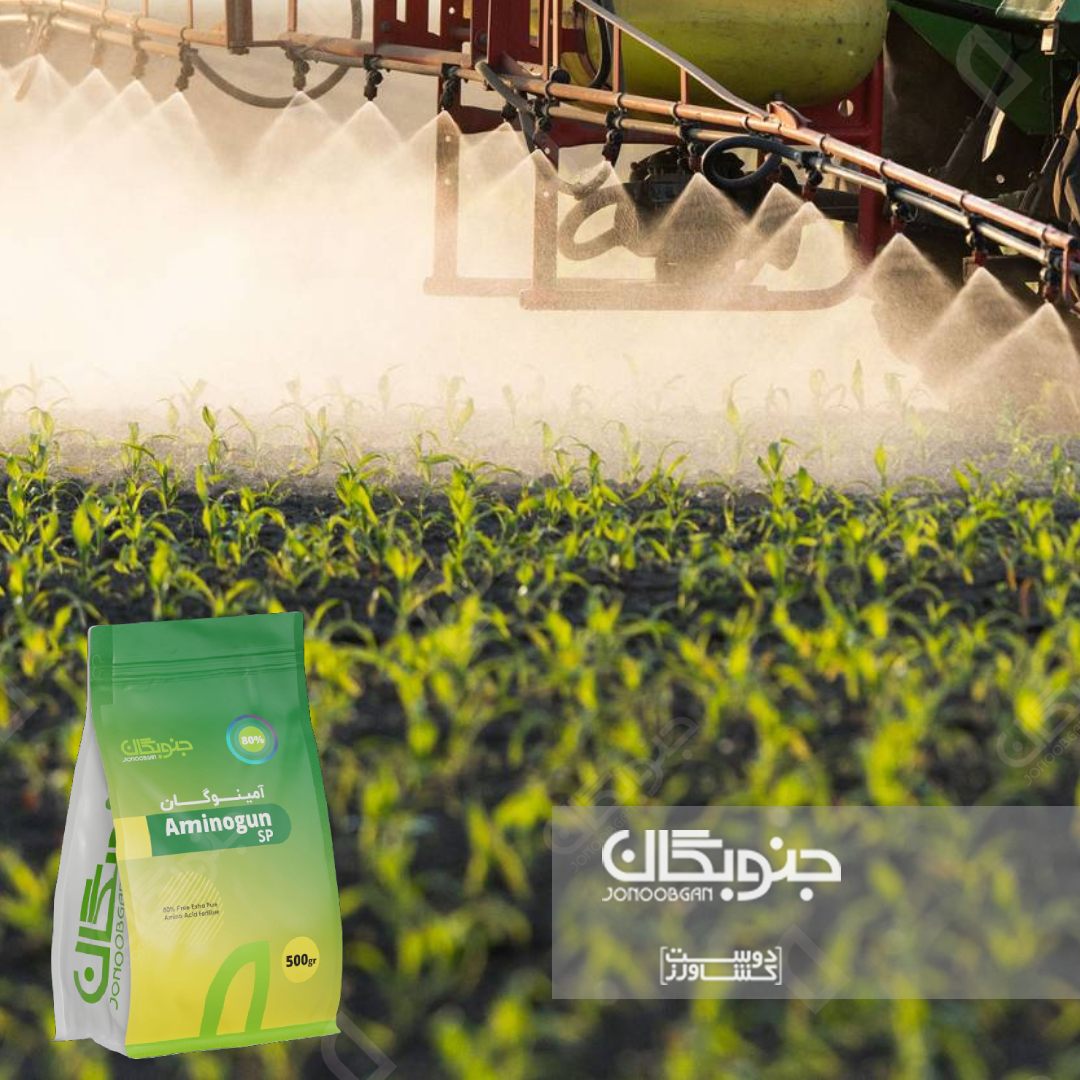 مواد محرک رشد (Biostimulants) : آمینواسیدها و پروتئین هیدرولیزاتها