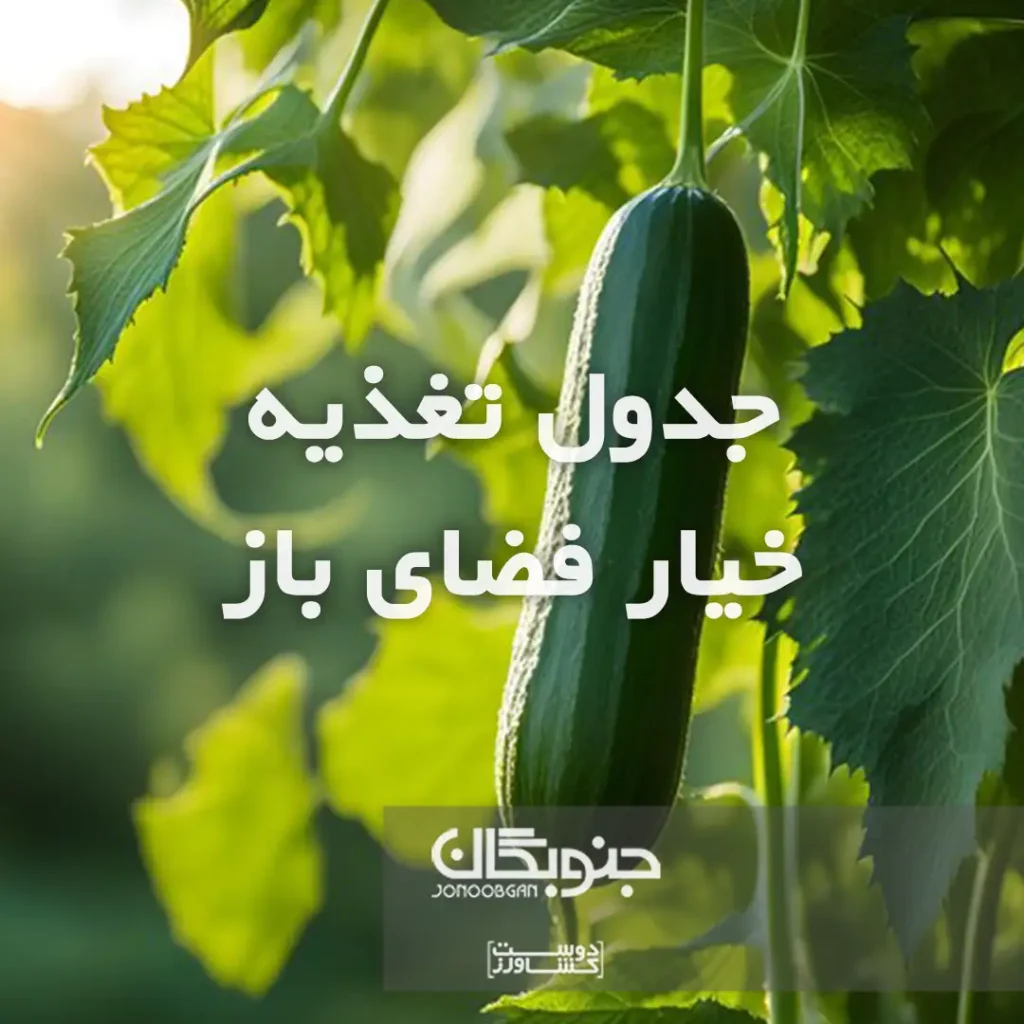 جدول تغذیه خیار فضای باز جنوبگان