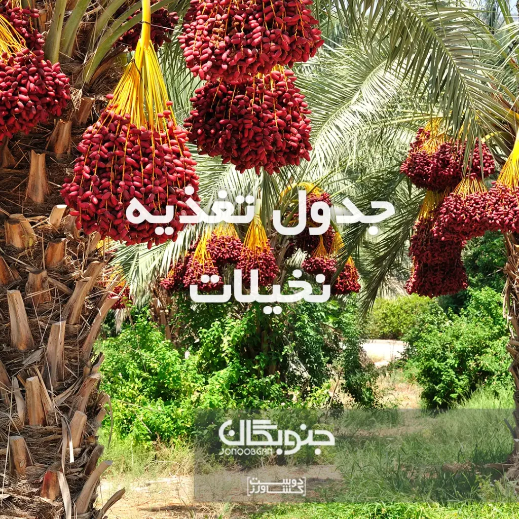 جدول تغذیه نخیلات جنوبگان
